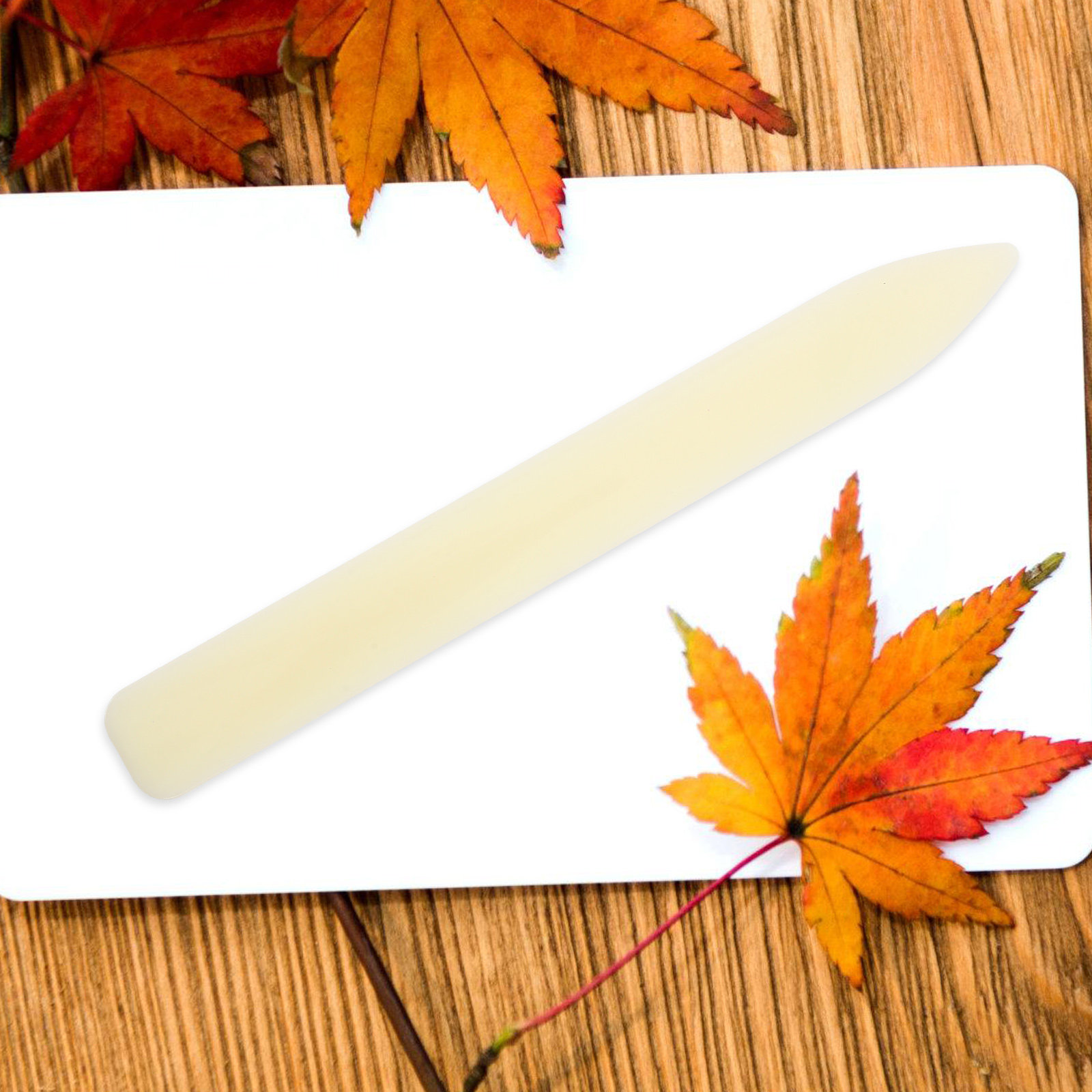 5 pcs Plastic Bone Folder Pape - Bone Folder Tool 评论和价格